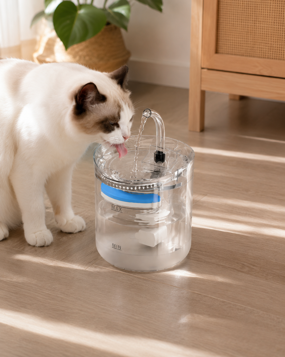 Fuente de Agua para Gatos | Río CatZen