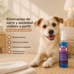 Limpieza oral pet