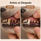 Limpieza oral pet