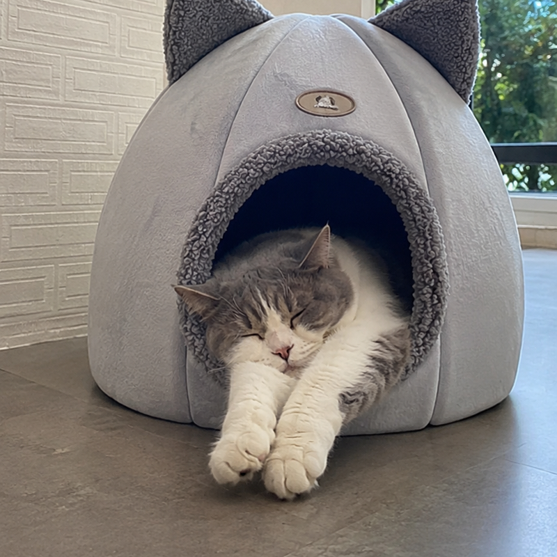 Mi gato esta feliz